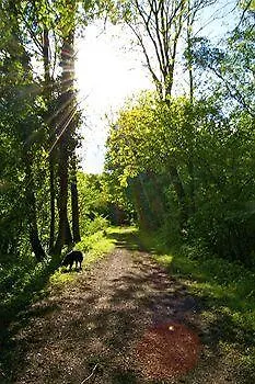 By The Bridge Oda ve Kahvaltı Middelfart